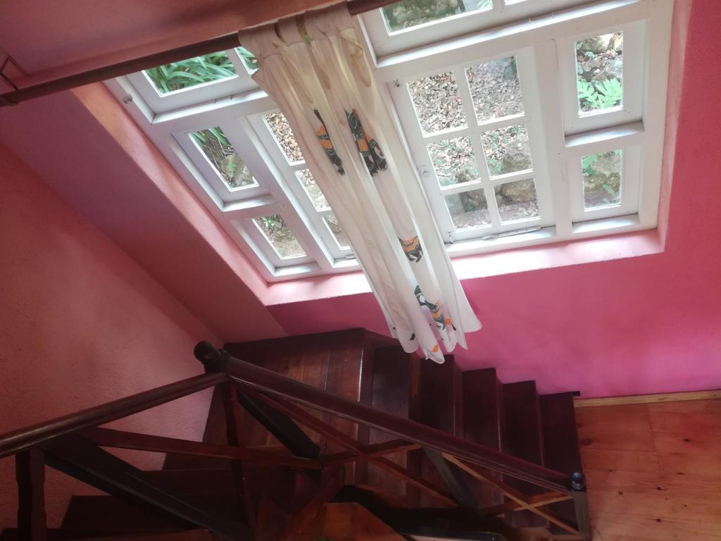 Sincere Wilderness Home Stay Nuwara Eliya Eksteriør bilde